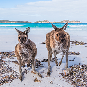 australia compliance update australia compliance update