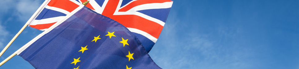 Brexit header